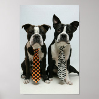 Boston Brüder ポ ス タ Poster