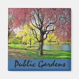 Boston Common Magnet