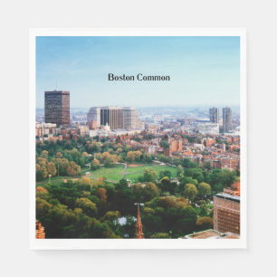 Boston Common, öffentlicher Park, Serviette