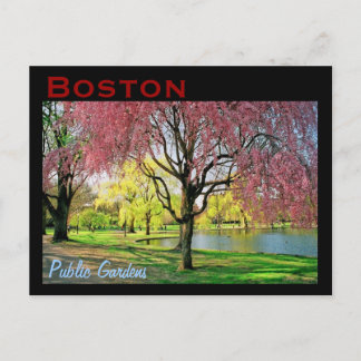 Boston Common Postcard - Maßgeschneiderte Postkarte