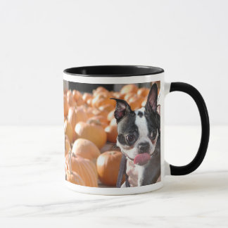 Boston dans la tasse de correction de citrouille