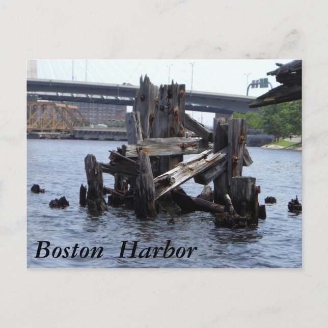 Boston Harbour Postkarte (Vorderseite)