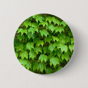 Boston Ivy Abzeichen Button