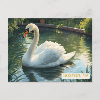 Boston, Mass. Public Garden Schwan Postkarte