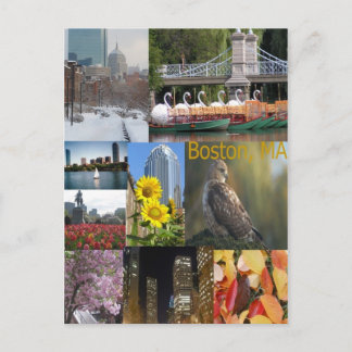 Boston, Massachusetts Postkarte