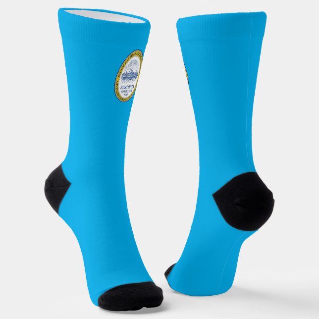 Boston (Massachusetts) - Stadtflagge Socken (Gewinkelt)
