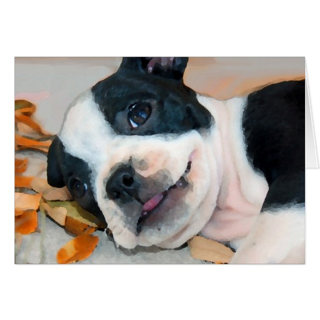 Boston Play (Devant horizontal)