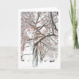 Boston Public Garden Feiertagskarte