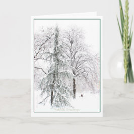 Boston Public Garden: Holiday Yuletide Feiertagskarte