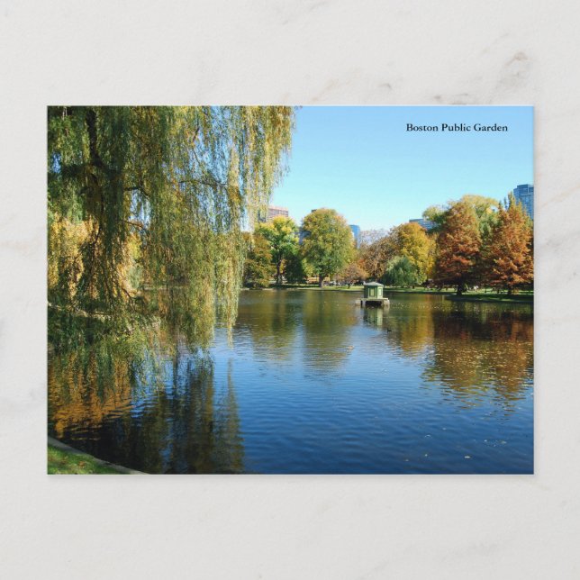 Boston Public Garden Postkarte (Vorderseite)
