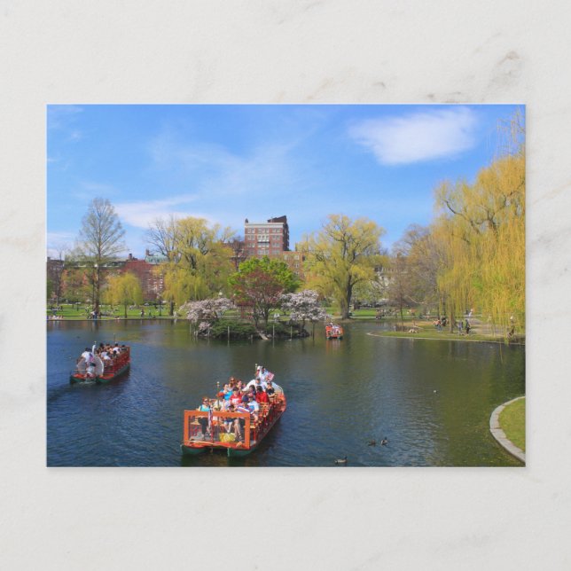 Boston Public Garden Swan Boote im Frühjahr Postkarte (Vorderseite)
