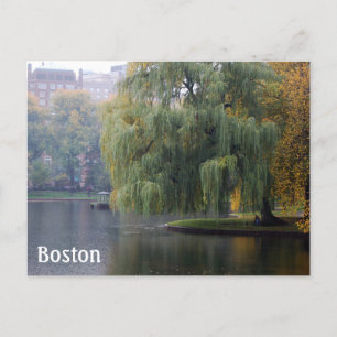 Boston Public Gardens Postkarte