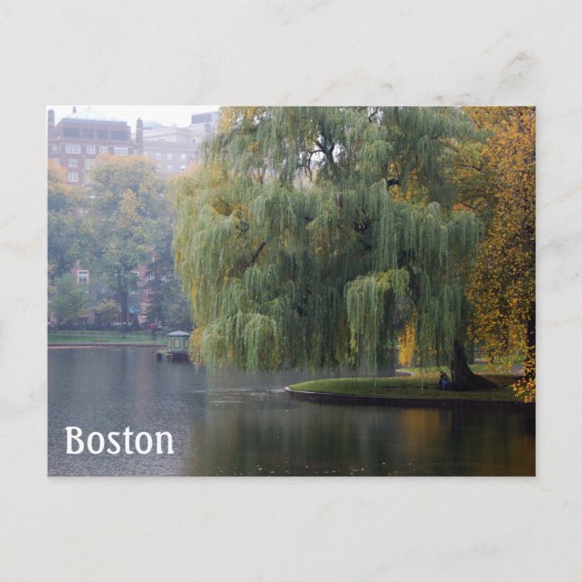 Boston Public Gardens Postkarte (Vorderseite)