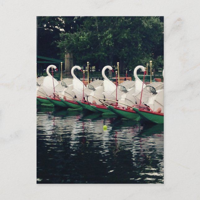 Boston Public Gardens Swan Boote Postkarte (Vorderseite)