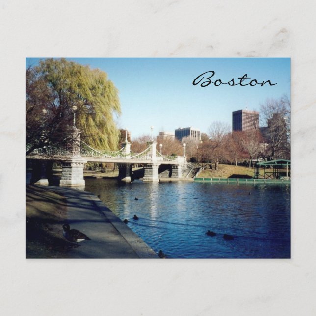Boston-See Postkarte (Vorderseite)