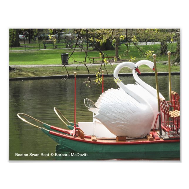 Boston Swan Boat Foto (Vorne)