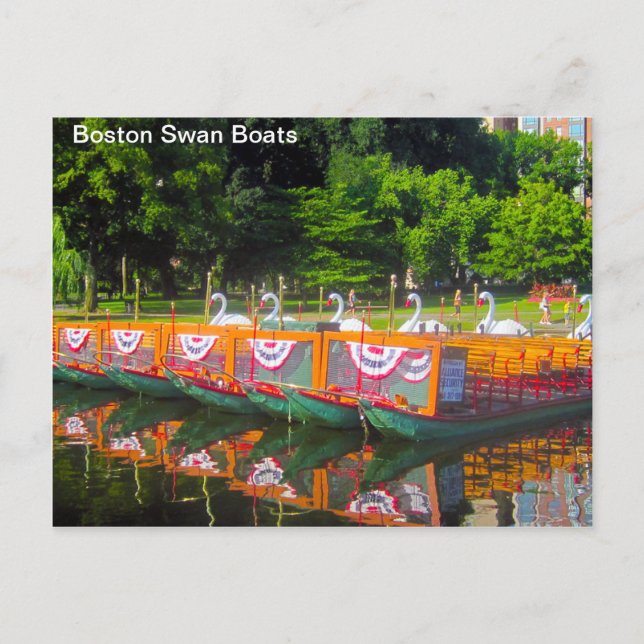 Boston Swan Boats Postcard Postkarte (Vorderseite)