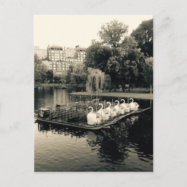 Boston Swan Boote in Schwarz und Weiß Postkarte (Vorderseite)