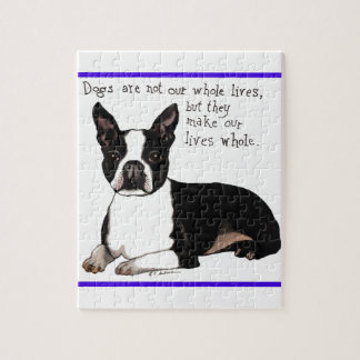 Boston Terrier