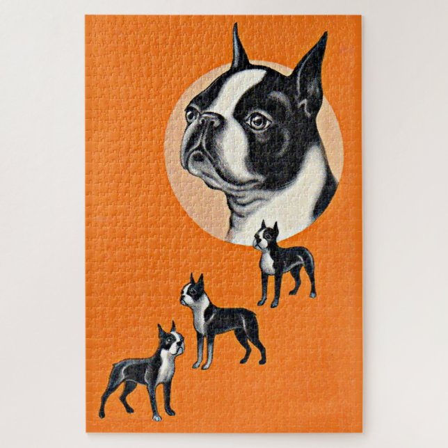 Boston Terrier (Vertikal)