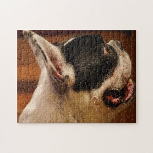 Boston Terrier (Horizontal)