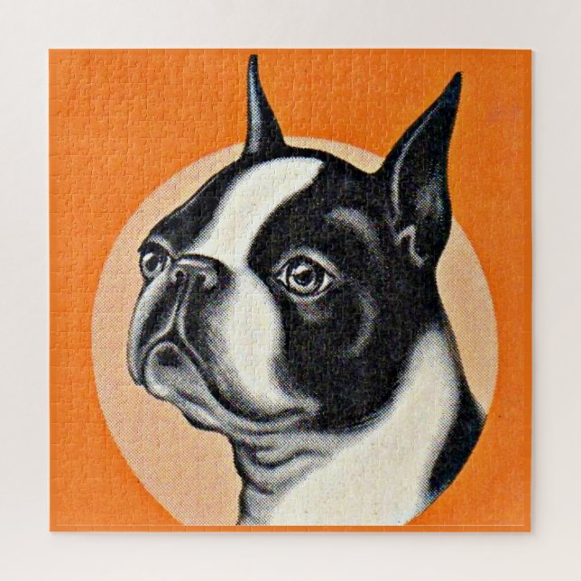 Boston Terrier (Vertikal)
