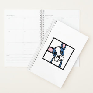 Boston Terrier