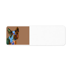Boston Terrier