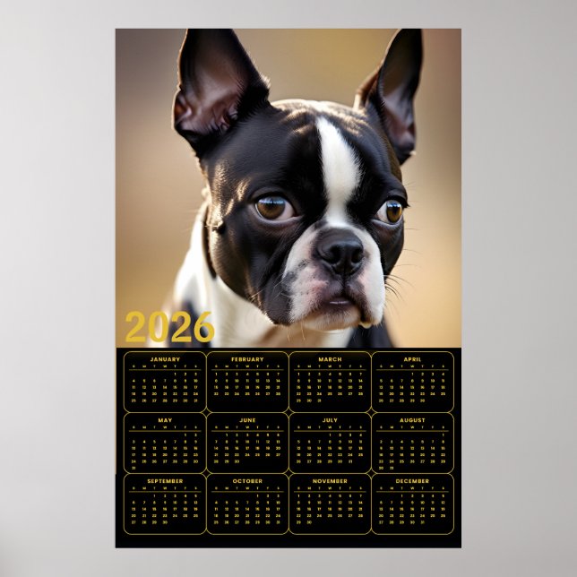 Boston Terrier 2026 Kalender  Poster (Vorne)