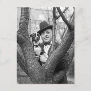 Boston Terrier, 20er Postkarte