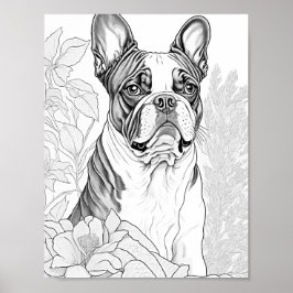 Boston Terrier Adult Coloring Poster