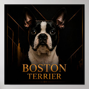 Boston Terrier American Classic Kollektion Poster