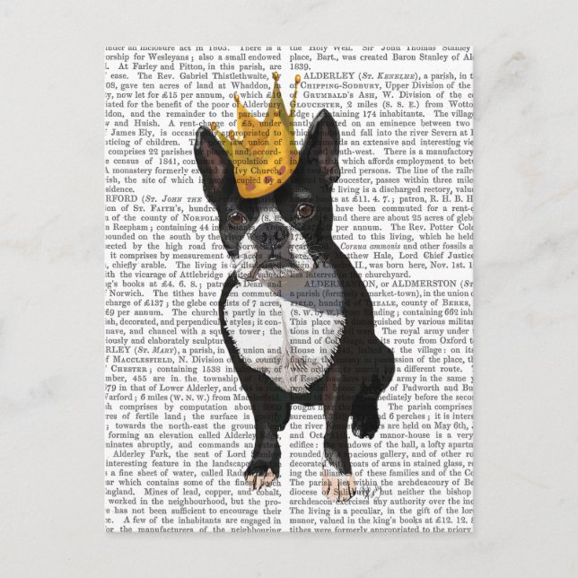 Boston Terrier and Crown Postkarte (Vorderseite)