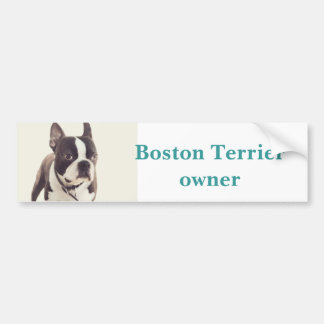 Boston-Terrier Autoaufkleber
