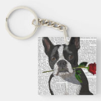 Boston Terrier avec Rose à la bouche