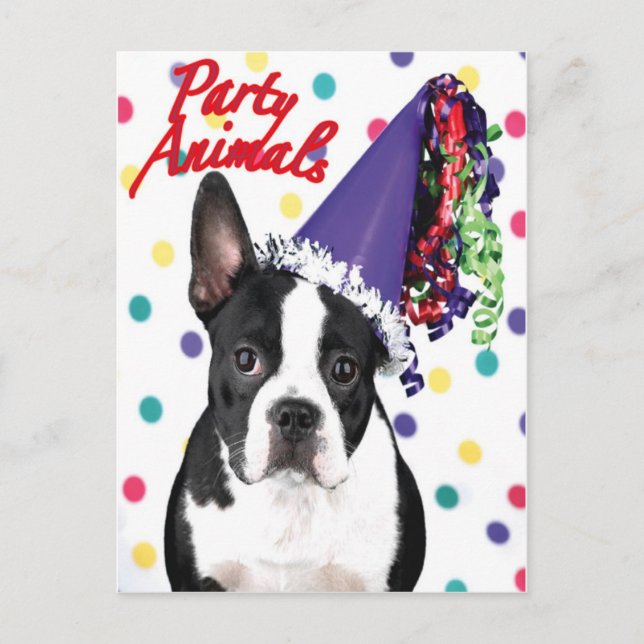 Boston Terrier Birthday Card Postkarte (Vorderseite)