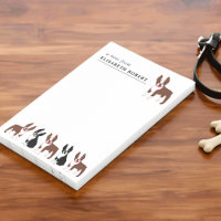 Boston Terrier Black and White and Red Brown