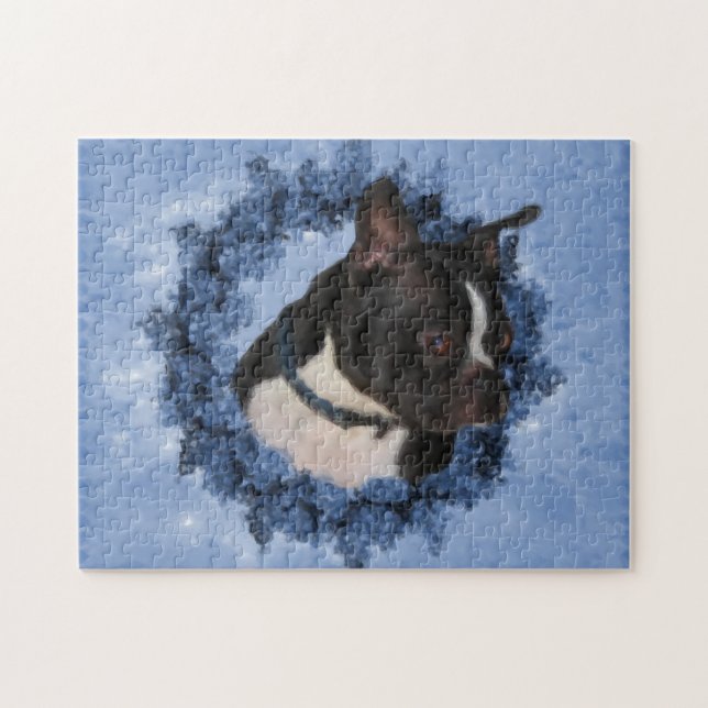 Boston Terrier Blume Dog Art Foto Malerei  (Horizontal)