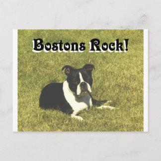 Boston Terrier: Bostons Rock Postkarte