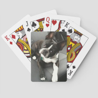 Boston Terrier Buddy Cards Spielkarten