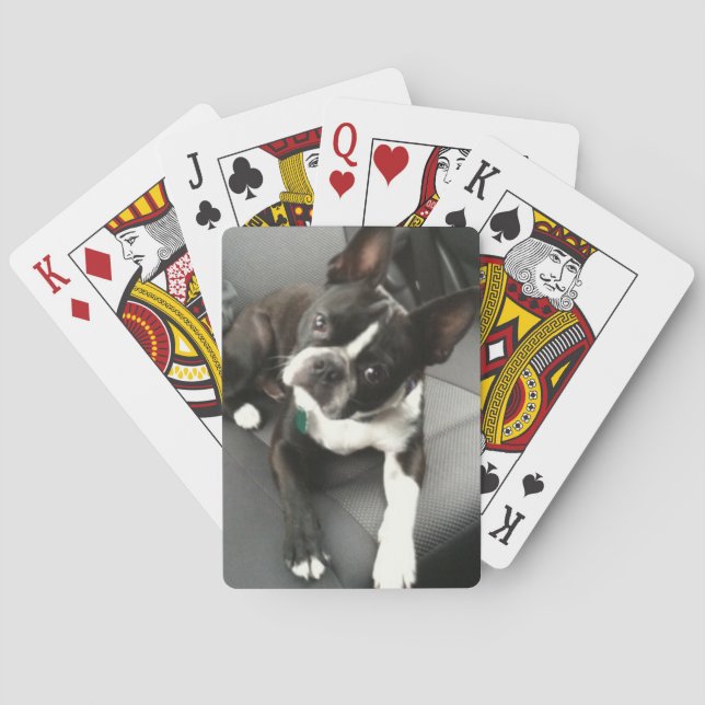 Boston Terrier Buddy Cards Spielkarten (Rückseite)