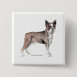Boston Terrier Button