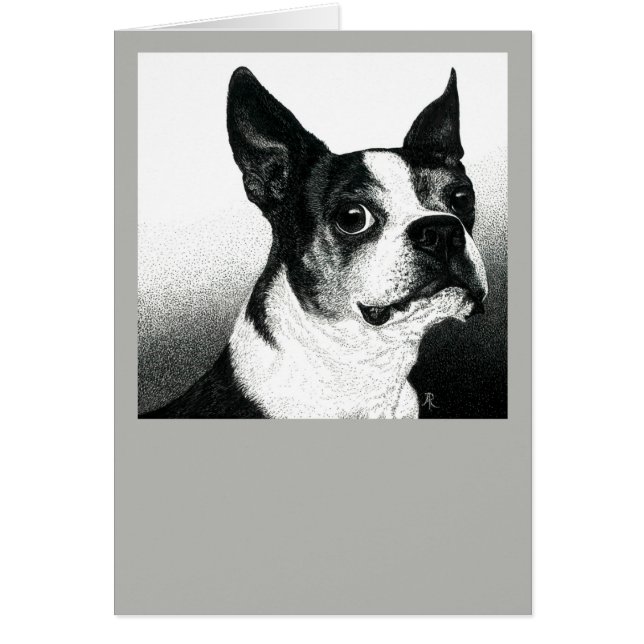 Boston Terrier Card - "Boston Style" (Vorne)