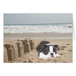 Boston Terrier Card Sandcasts