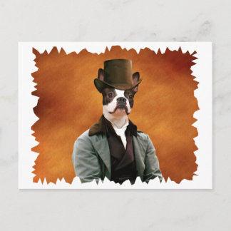 Boston Terrier Carte Postale Nobility Chiens Cadea