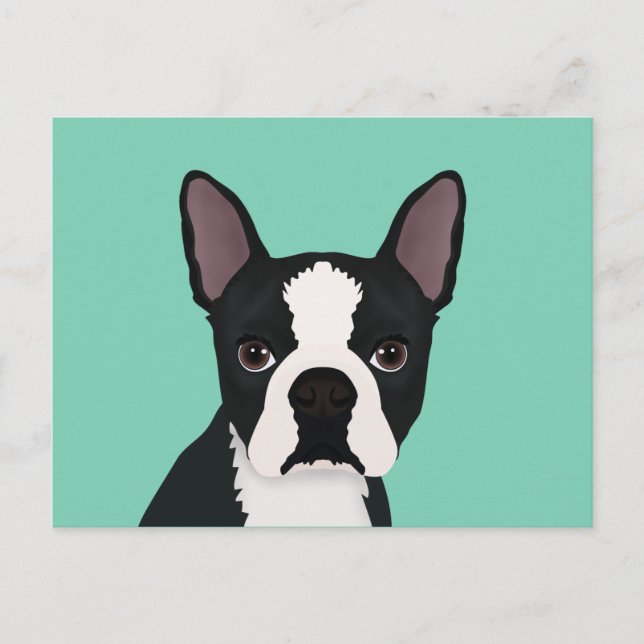 Boston Terrier Cartoon Postkarte (Vorderseite)