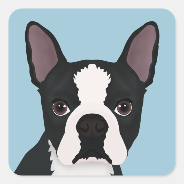 Boston Terrier Cartoon Quadratischer Aufkleber (Vorderseite)