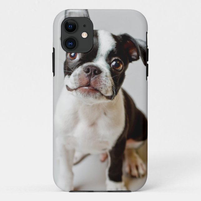 Boston Terrier Case-Mate iPhone Hülle (Rückseite)