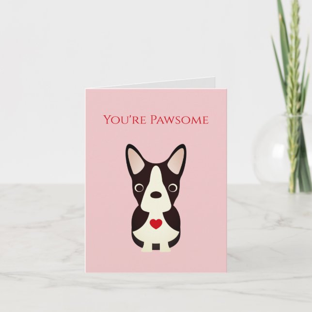 Boston Terrier, Chien Valentine, Saint Valentin (Devant)