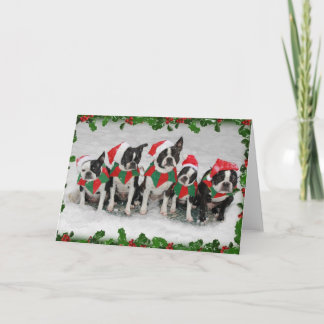 Boston Terrier Christmas Card Feiertagskarte